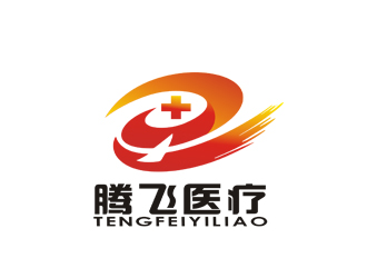 李正東的河南省騰飛醫療器械有限公司logo設計