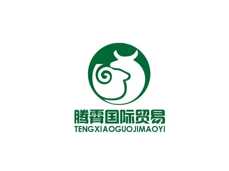 秦光華的大連騰霄國際貿易有限公司logo設計